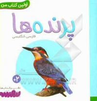 بورد بوک اولین کتاب من 11 پرنده ها
